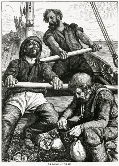 Framed Print : Harvest of the sea 1867 Framed Print : Harvest of the sea 1867