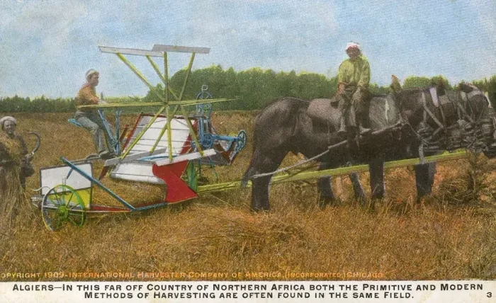 Framed Print : Harvesting in Algeria Framed Print : Harvesting in Algeria