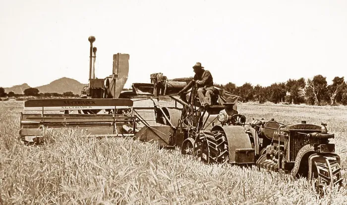 Framed Print : Harvesting barley Fort Collins Colorado USA early 1900s Framed Print : Harvesting barley Fort Collins Colorado USA early 1900s