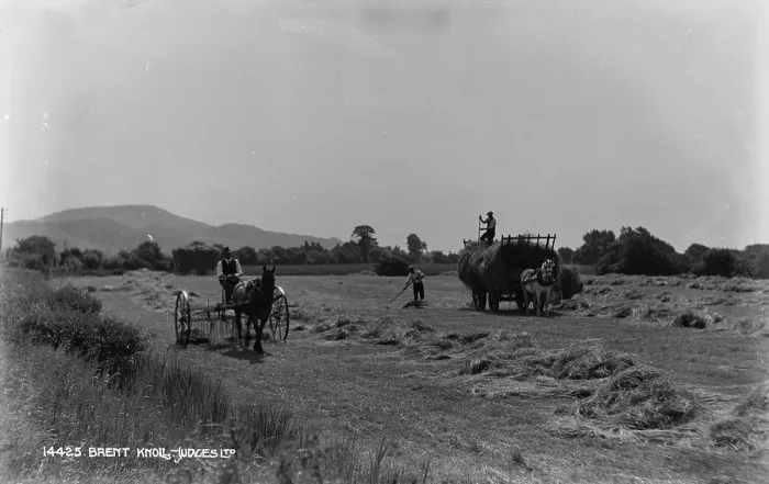 Framed Print : Harvesting in the Countryside Framed Print : Harvesting in the Countryside