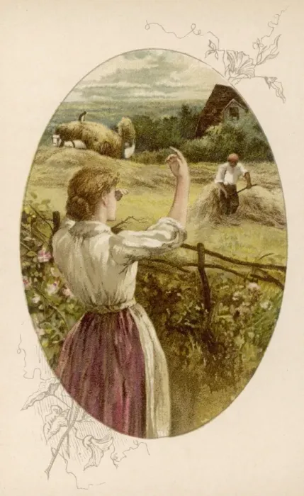 Framed Print : Harvesting Crops Framed Print : Harvesting Crops