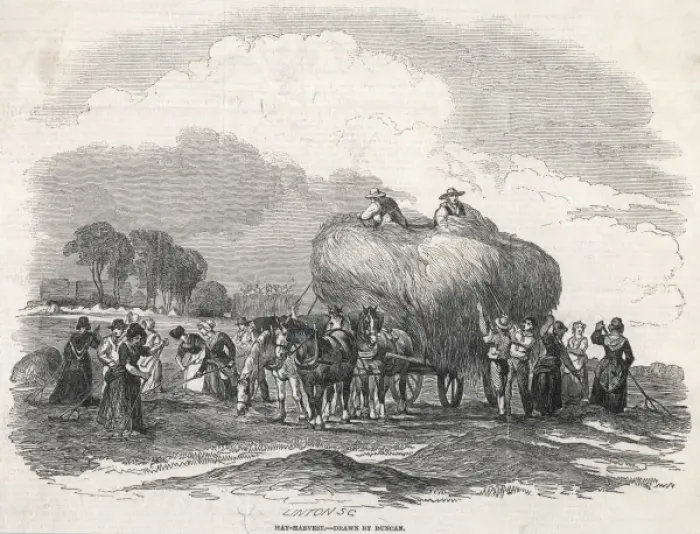 Framed Print : Harvesting Hay, Duncan Framed Print : Harvesting Hay, Duncan