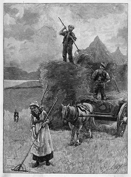 Harvesting Hay, Mull