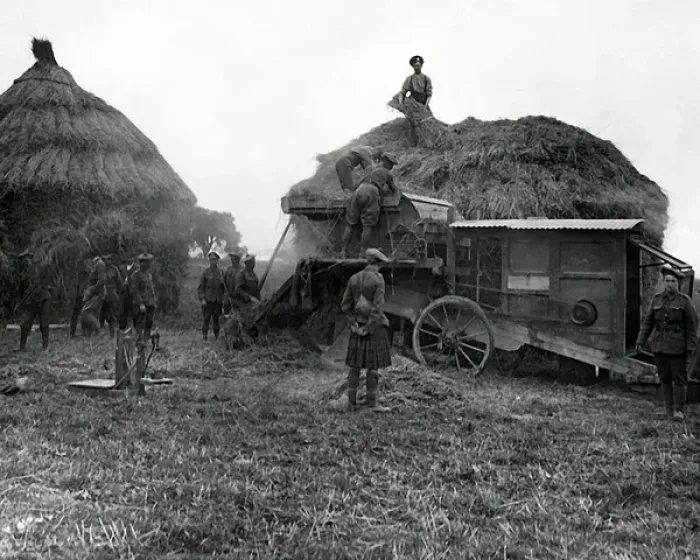 Framed Print : Harvesting scene with soldiers, Western Front, WW1 Framed Print : Harvesting scene with soldiers, Western Front, WW1