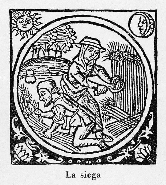 Harvesting, Spain 1511
