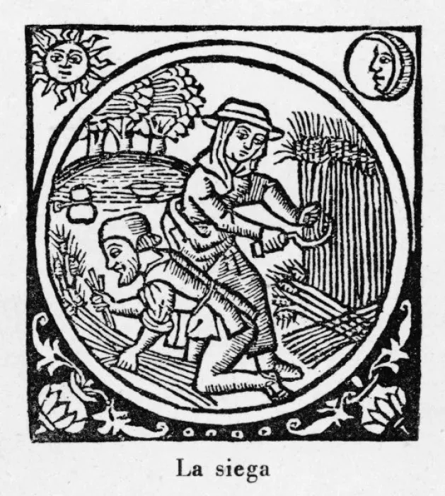 Framed Print : Harvesting, Spain 1511 Framed Print : Harvesting, Spain 1511