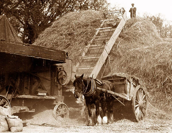 Harvesting - stacking the hay probably 1920s
