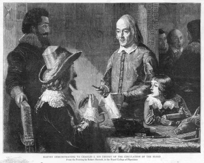 Framed Print : Harvey / Charles I / Hannah Framed Print : Harvey / Charles I / Hannah