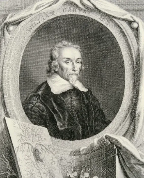 Framed Print : HARVEY, William (1578-1657). English anatomist Framed Print : HARVEY, William (1578-1657). English anatomist