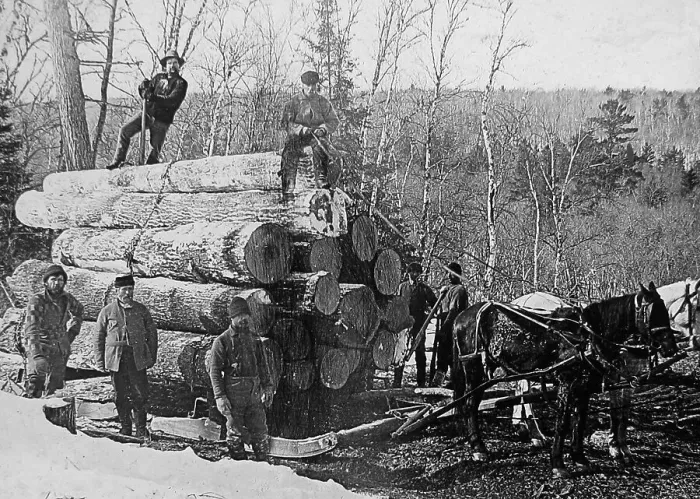Framed Print : Hauling logs Kettle River Landing Minnesota USA early 1900s