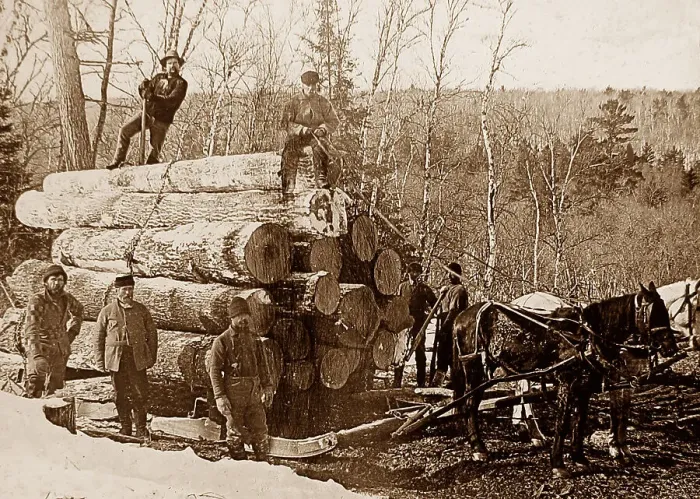 Framed Print : Hauling logs Kettle River Landing Minnesota USA early 1900s Framed Print : Hauling logs Kettle River Landing Minnesota USA early 1900s
