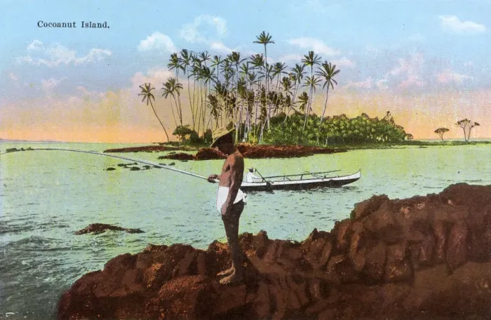 Framed Print : Hawaiian Islands, USA - Coconut Island Framed Print : Hawaiian Islands, USA - Coconut Island