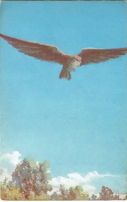 Framed Print : The Hawk by Edward Knoblauch Framed Print : The Hawk by Edward Knoblauch