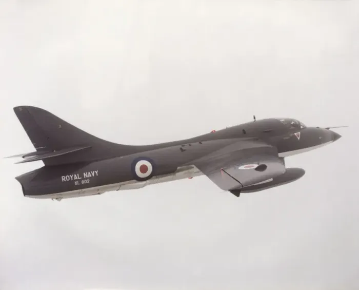 Framed Print : Hawker Hunter T-8M Framed Print : Hawker Hunter T-8M