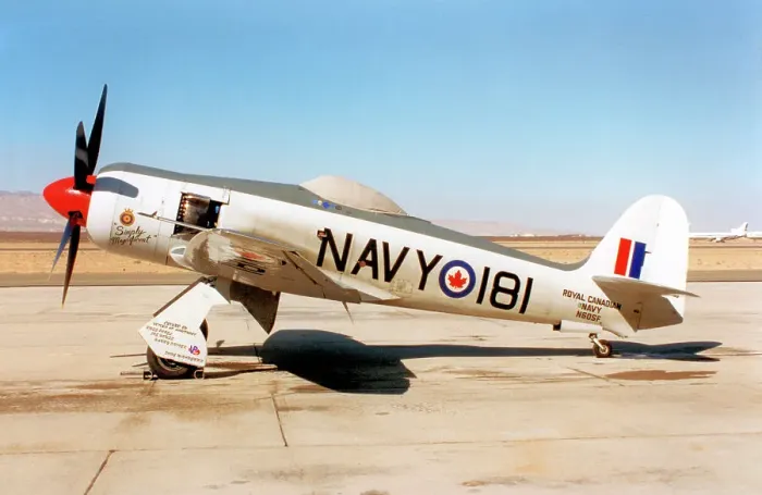 Framed Print : Hawker Sea Fury FB.11 N60SF Framed Print : Hawker Sea Fury FB.11 N60SF