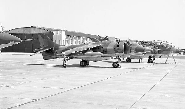 Hawker Siddeley Harrier GR. 1 XW919