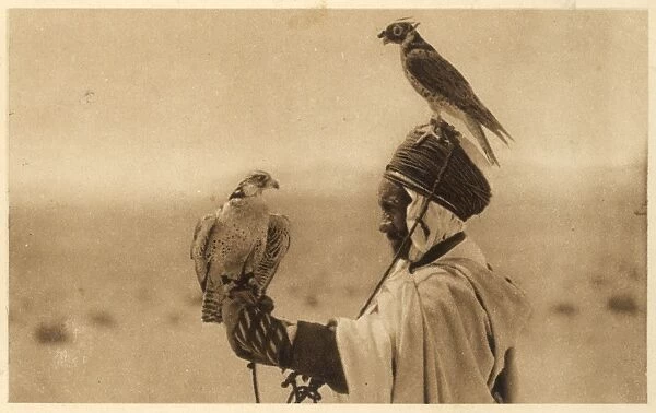 Hawking in Algeria. An Algerian falconer with two hunting birds