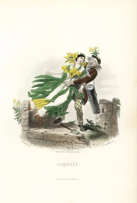 Framed Print : Hawthorn flower fairy and children, Crataegus laevigata Framed Print : Hawthorn flower fairy and children, Crataegus laevigata