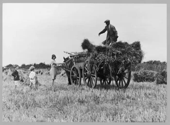Framed Print : The Hay Wagon (Pugh) Framed Print : The Hay Wagon (Pugh)