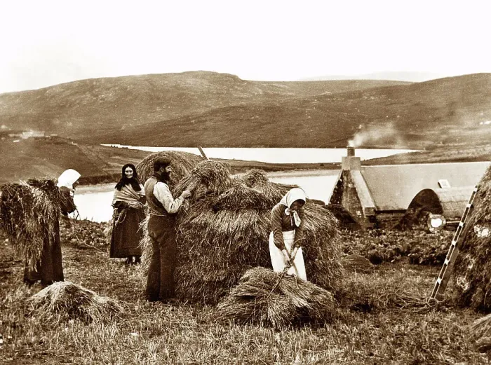 Framed Print : The Hay Yard, Lerwick, Shetland, Victorian period Framed Print : The Hay Yard, Lerwick, Shetland, Victorian period