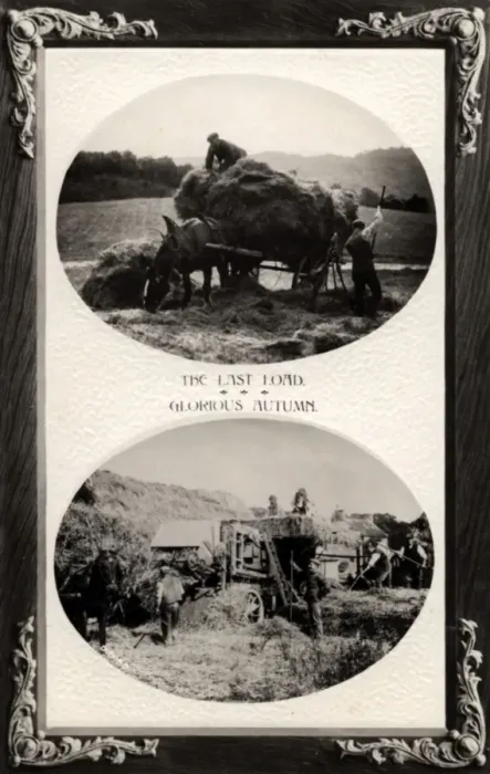 Framed Print : Haymaking, England. The Last Load - Glorious Autumn Date: 1900s Framed Print : Haymaking, England. The Last Load - Glorious Autumn Date: 1900s