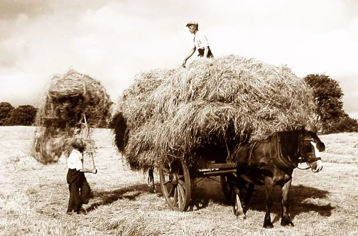 Framed Print : Haymaking Framed Print : Haymaking