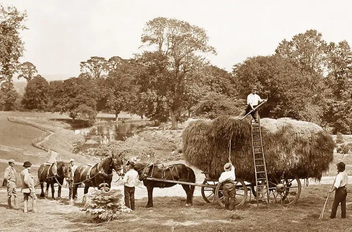 Framed Print : Haymaking Framed Print : Haymaking
