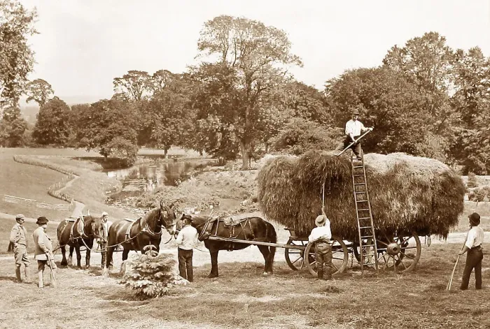 Framed Print : Haymaking Framed Print : Haymaking