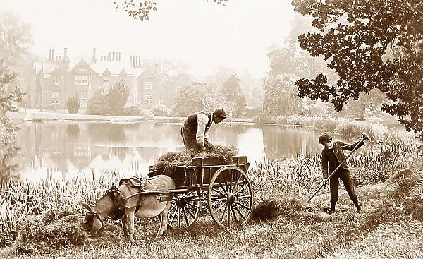 Haymaking on the banks of the River Thames