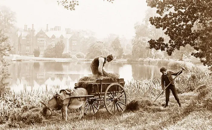 Framed Print : Haymaking on the banks of the River Thames Framed Print : Haymaking on the banks of the River Thames