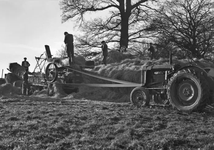 Framed Print : Haymaking in a field Framed Print : Haymaking in a field