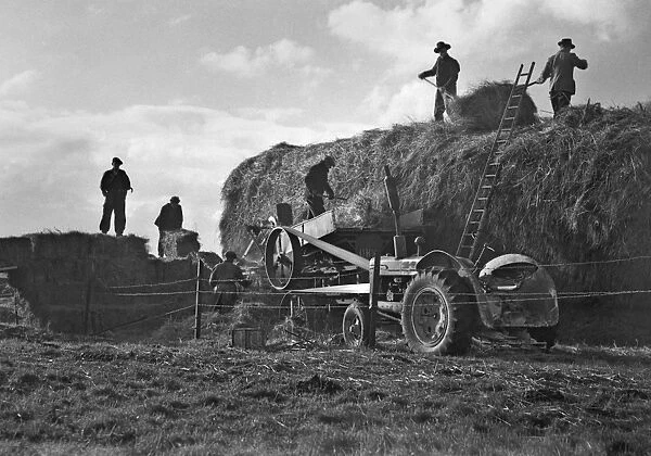 Haymaking in a field