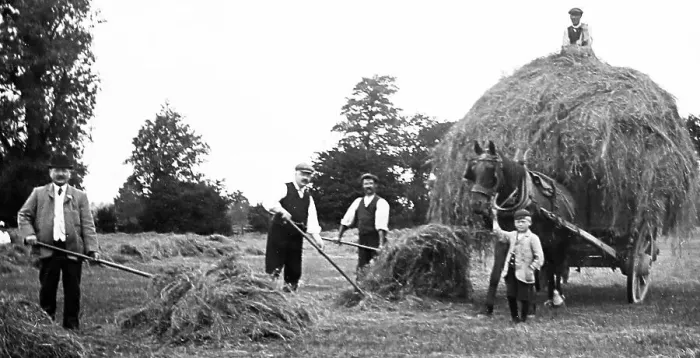 Framed Print : Haymaking, Hoby Framed Print : Haymaking, Hoby