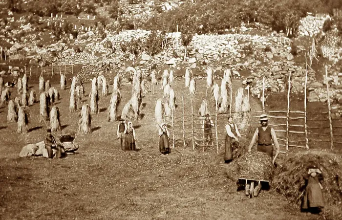 Framed Print : Haymaking in Indal, Gjovik, Norway Framed Print : Haymaking in Indal, Gjovik, Norway
