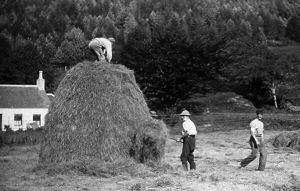 Haymaking near Dunoon, Scotland