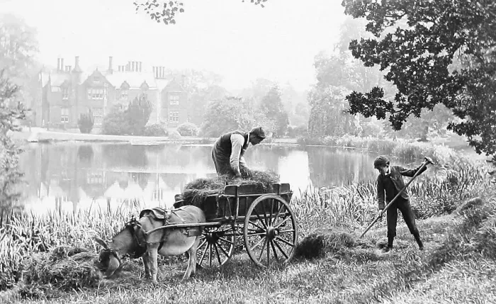 Framed Print : Haymaking - rural idyll - Victorian period Framed Print : Haymaking - rural idyll - Victorian period