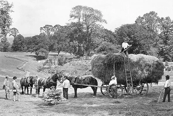 Haymaking Victorian period