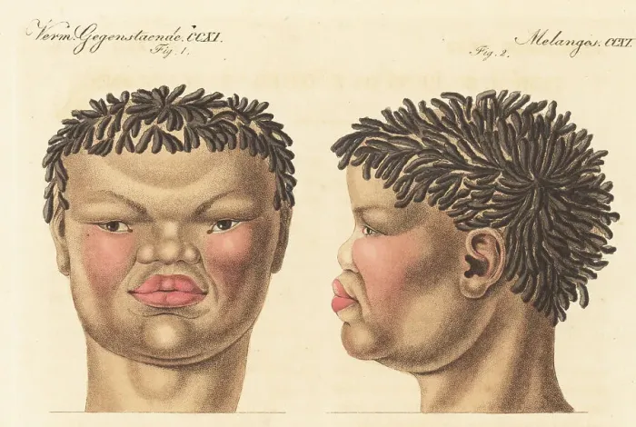 Framed Print : Head of a 20-year-old Khoekhoe man of South Africa, 1814 Framed Print : Head of a 20-year-old Khoekhoe man of South Africa, 1814