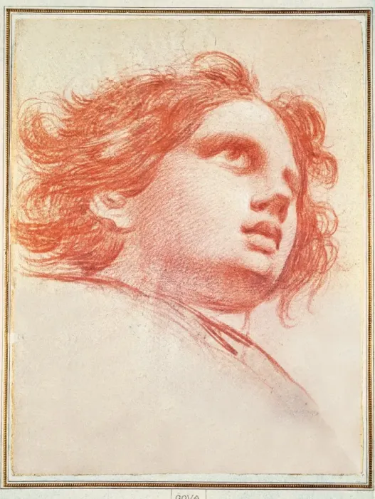 Framed Print : Head of an Angel Framed Print : Head of an Angel