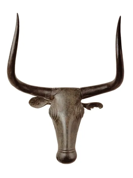 Framed Print : Head of a Bull Framed Print : Head of a Bull
