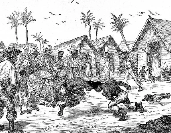 Head-butting fight in Venezuela, 1874