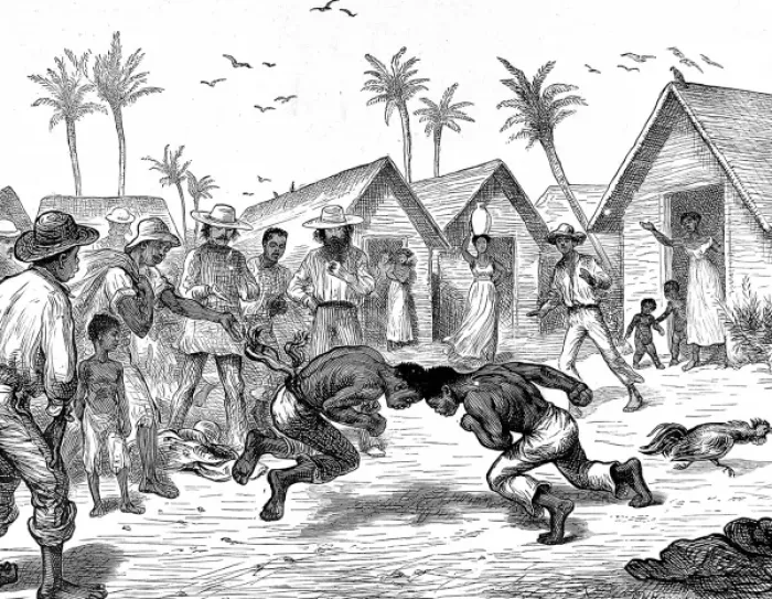 Framed Print : Head-butting fight in Venezuela, 1874 Framed Print : Head-butting fight in Venezuela, 1874