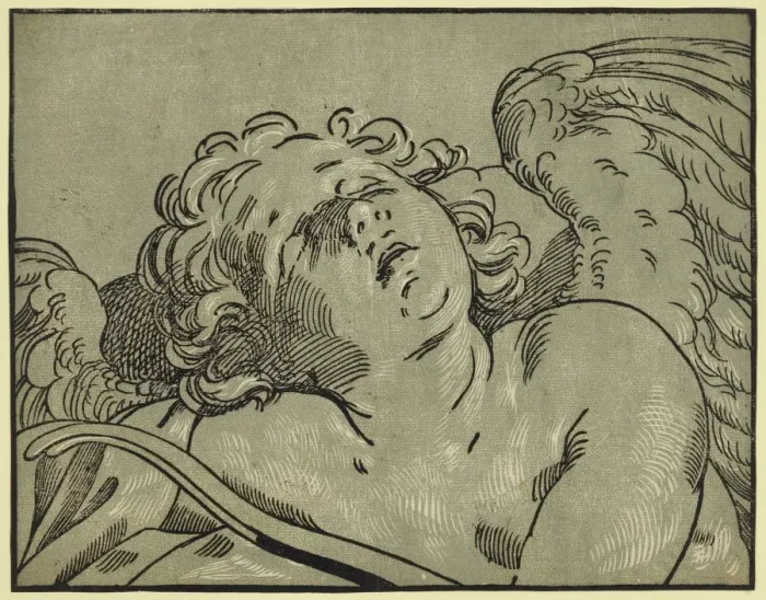 Framed Print : Head of Cupid Framed Print : Head of Cupid