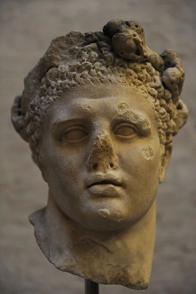 Head of a Heracles statue. Roman sculpture