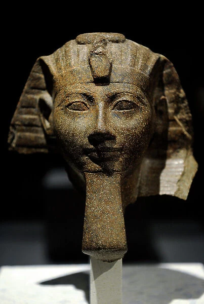 Head of a statue of queen Hatshepsut