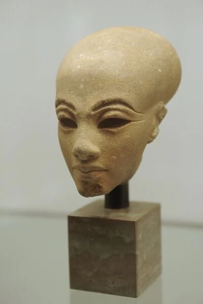 Head from a statuette of a princess. Egypt