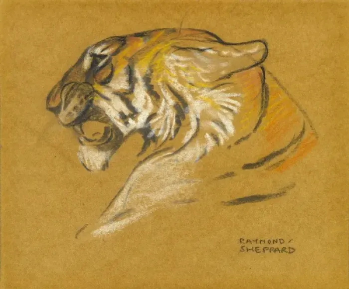 Framed Print : Head of a tiger Framed Print : Head of a tiger