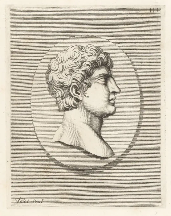 Framed Print : Head of a young man with short curly hair Framed Print : Head of a young man with short curly hair