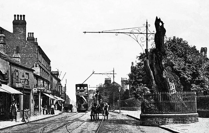 Framed Print : Headingley Oak Leeds Framed Print : Headingley Oak Leeds