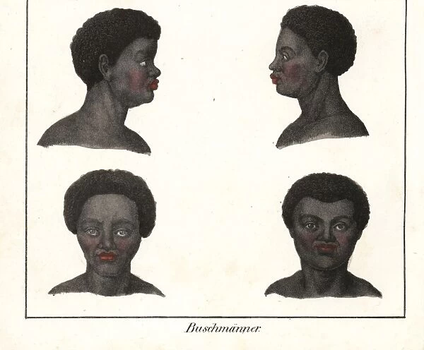 Heads of San men, South Africa, from the front